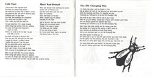 Load image into Gallery viewer, Richard Thompson : Henry The Human Fly (CD, Album, RE)
