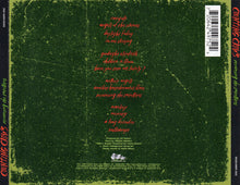 Load image into Gallery viewer, Counting Crows : Recovering The Satellites (CD, Album, RE)
