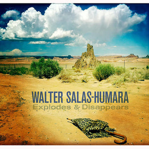 Walter Salas-Humara : Explodes And Disappears (CD, Album)