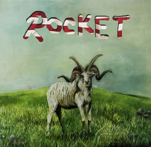 Load image into Gallery viewer, Alex G (2) : Rocket (LP, Album)
