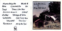 Load image into Gallery viewer, Edie Brickell &amp; New Bohemians : Ghost Of A Dog (CD, Album)
