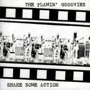 The Flamin' Groovies : Shake Some Action (CD, Comp)