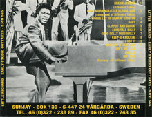 Load image into Gallery viewer, Little Richard : Early Studio Outtakes (CD)
