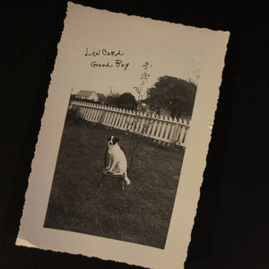 Lew Card : Good Boy (CD, EP)