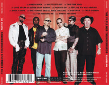 Load image into Gallery viewer, The Fabulous Thunderbirds : Painted On (CD, Album)
