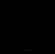 Load image into Gallery viewer, Scott Walker : The Drift (CD, Album)
