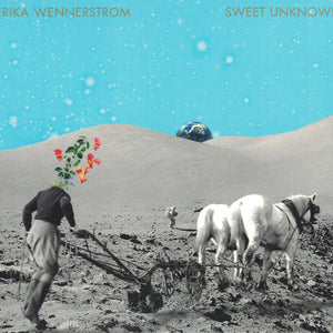 Erika Wennerstrom : Sweet Unknown (CD, Album)