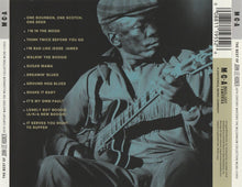 Load image into Gallery viewer, John Lee Hooker : The Best Of John Lee Hooker (CD, Comp, RM)
