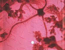 Load image into Gallery viewer, Medicine (2) : The Buried Life (CD, Album)
