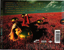 Load image into Gallery viewer, Trish Murphy : Rubies On The Lawn (CD, Album)
