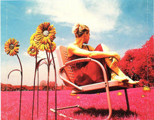 Load image into Gallery viewer, Trish Murphy : Rubies On The Lawn (CD, Album)
