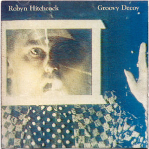Robyn Hitchcock : Groovy Decoy (CD, Album)