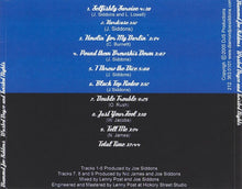 Load image into Gallery viewer, Diamond Joe Siddons : Wasted Dayze And Twisted Nights ... (CD, Album)
