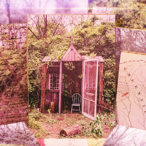 The Marcus King Band : Carolina Confessions (CD, Album)