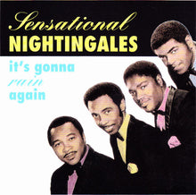 Load image into Gallery viewer, Sensational Nightingales* : It&#39;s Gonna Rain Again (CD, Album, RE)
