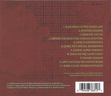 Load image into Gallery viewer, Stanton Moore Trio : Emphasis! (On Parenthesis) (CD)
