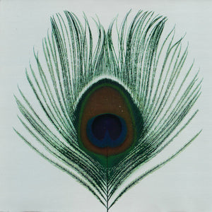 XTC : Apple Venus Volume 1 (CD, Album, Oly)