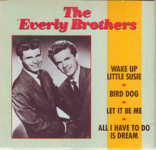 Load image into Gallery viewer, The Everly Brothers* : Lil' Bit Of Gold (CD, Mini, Comp)
