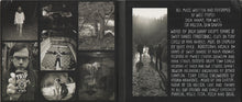 Load image into Gallery viewer, Wolf People : Steeple (CD, Album, Dig)
