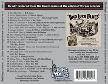 Load image into Gallery viewer, Various : 16 Classic Blues Songs From The 1920’s (Plus 6 Post War Rarities) Vol. 17 (CD, Comp, RM)
