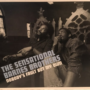 The Sensational Barnes Brothers : Nobody's Fault But My Own (CD)