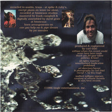 Load image into Gallery viewer, Lisa Tingle : In The Water (CD, Album)
