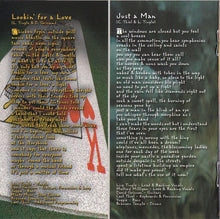 Load image into Gallery viewer, Lisa Tingle : Picture Me There (CD, Album)
