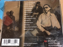 Load image into Gallery viewer, The Stone Coyotes : Church of The Falling Rain (CD, Album)
