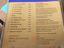 Load image into Gallery viewer, The Stone Coyotes : Church of The Falling Rain (CD, Album)
