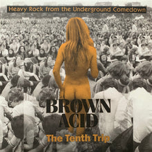 Load image into Gallery viewer, Various : Brown Acid: The Tenth Trip (Heavy Rock From The Underground Comedown (LP, Comp)
