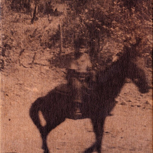 Pillars And Tongues : Protection (CD, Album)