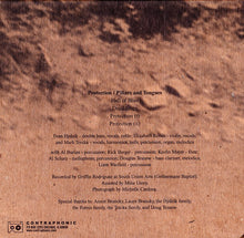 Load image into Gallery viewer, Pillars And Tongues : Protection (CD, Album)
