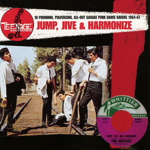 Various : Jump, Jive & Harmonize (18 Pounding, Pulverizing, All-Out Garage Punk Dance Ravers - 1964-67) (CD, Comp)