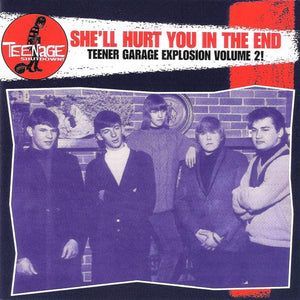 Various : She'll Hurt You In The End (Teener Garage Explosion Volume 2!) (CD, Comp)