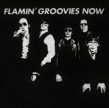 Load image into Gallery viewer, Flamin&#39; Groovies* : Now (CD, Album, RE)
