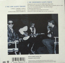 Load image into Gallery viewer, R.E.M. : The Sidewinder Sleeps Tonite (CD, Single, Car)
