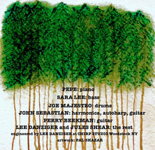 Load image into Gallery viewer, Jules Shear : Slower (CD, Album)
