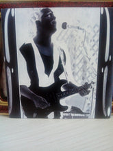 Load image into Gallery viewer, Dave Herrero : Hard Life Blues (CD, Album)
