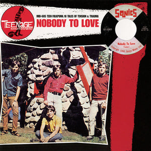 Various : Nobody To Love (Mid-60's Teen Folkpunk: 18 Tales Of Tension & Trauma) (CD, Comp)