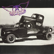Load image into Gallery viewer, Aerosmith : Pump (CD, Album, Club, DAD)
