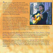 Load image into Gallery viewer, Armik : Isla Del Sol (CD, Album)
