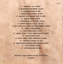 Load image into Gallery viewer, Bruce Springsteen : 18 Tracks (HDCD, Comp)
