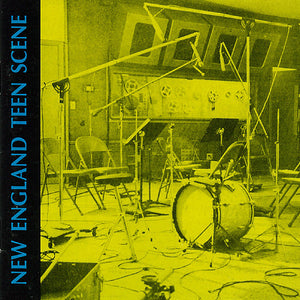 Various : New England Teen Scene (CD, Comp, Mono)