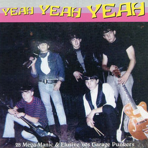 Various : Yeah Yeah Yeah (28 Mega-Manic & Elusive '60s Garage Punkers) (CD, Comp)