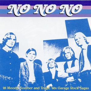 Various : No No No (28 Moody, Somber And Tragic '60s Garage Rock Sagas) (CD, Comp)