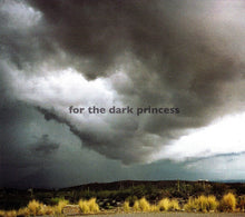 Load image into Gallery viewer, Robyn Hitchcock : Spooked (CD, Album, Dig)
