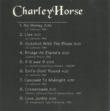Load image into Gallery viewer, Charleyhorse : No Money (CD, Album)
