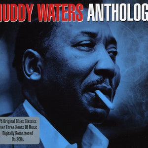 the album cover for Muddy Waters - Anthology [Import]