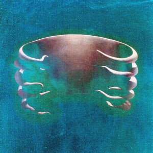 the album cover for Tool - Undertow [Import]