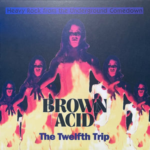 Various : Brown Acid: The Twelfth Trip (Heavy Rock From The Underground Comedown) (LP, Comp, Ltd, Cle)